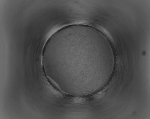 X0000093451324200710191055