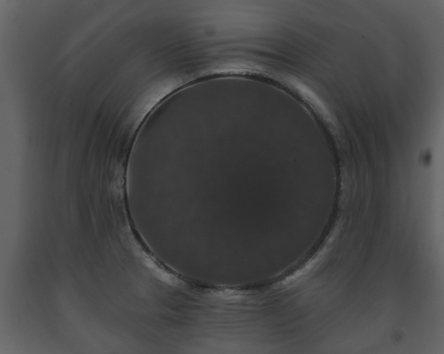 X0000093451329200710191055