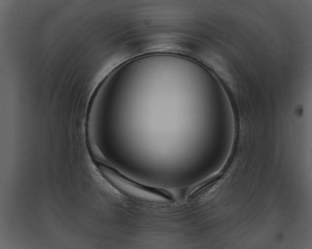 X0000093451330200710191055