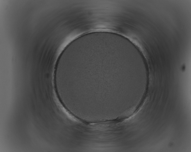 X0000093451333200710191055