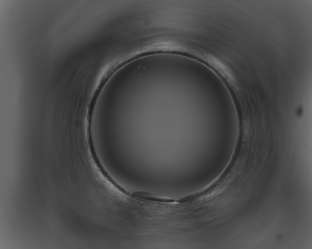 X0000093451334200710191055