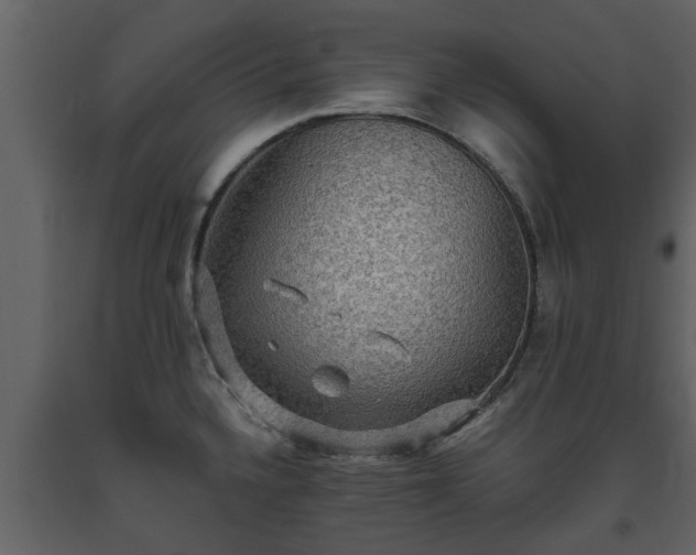 X0000093451336200710191055