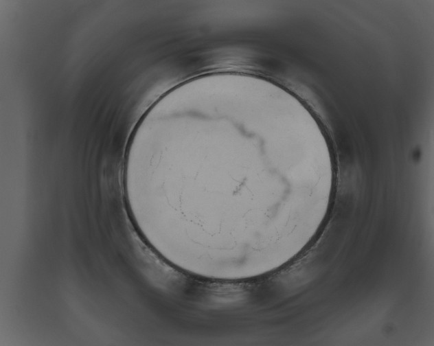 X0000093451338200710191055