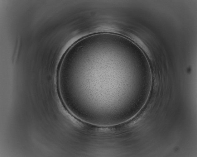 X0000093451339200710191055