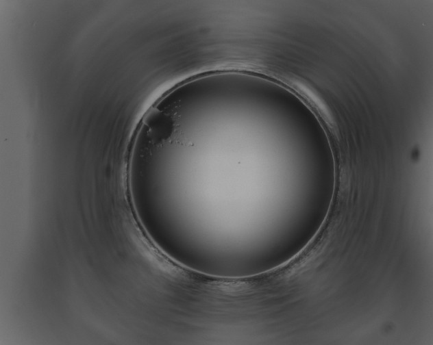 X0000093451340200710191055