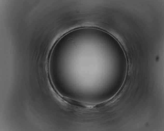 X0000093451342200710191055