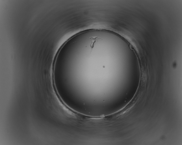 X0000093451343200710191055