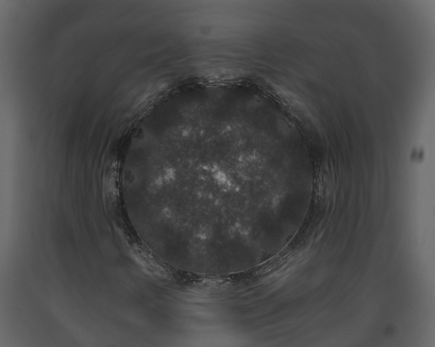 X0000093451346200710191054