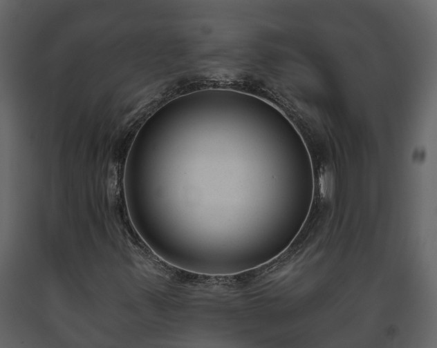 X0000093451347200710191054