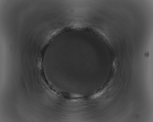 X0000093451348200710191054