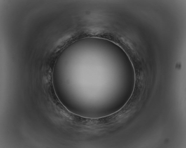 X0000093451349200710191054