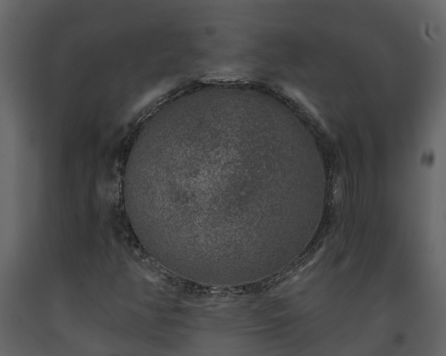 X0000093451350200710191054