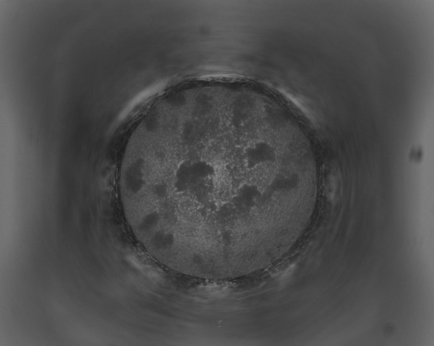 X0000093451351200710191054