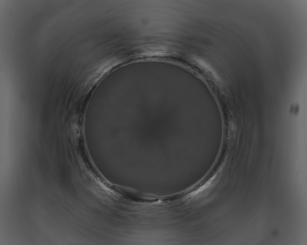 X0000093451353200710191054