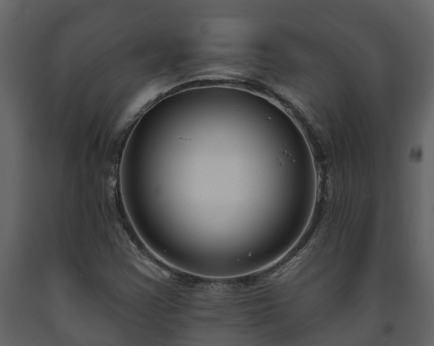 X0000093451355200710191054