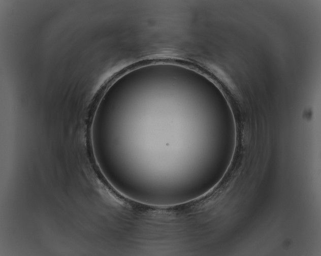 X0000093451356200710191054