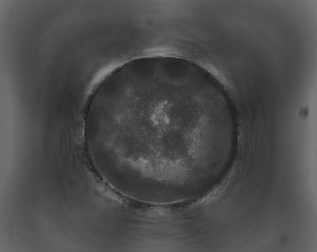 X0000093451358200710191054