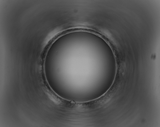 X0000093451360200710191054