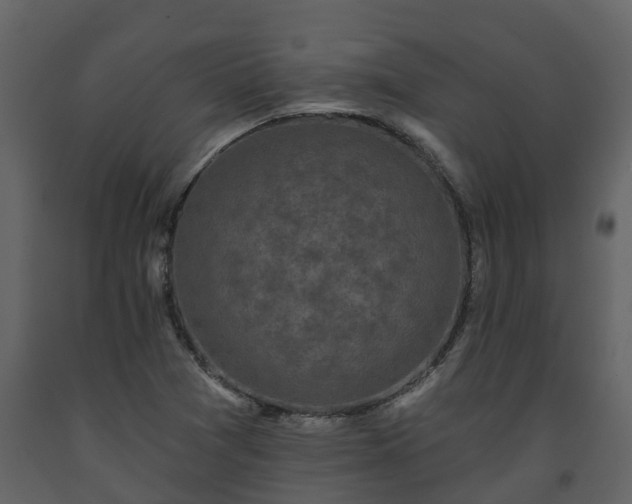 X0000093451361200710191054