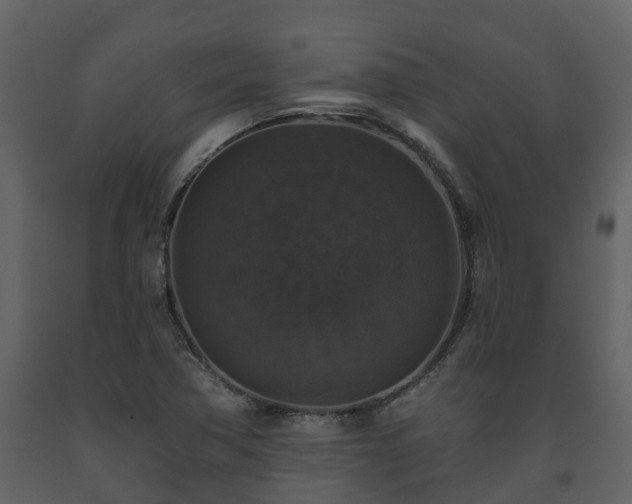 X0000093451362200710191054