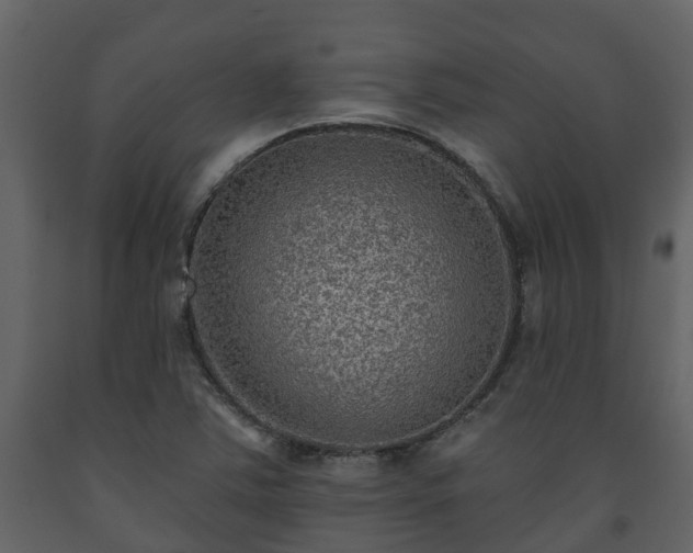 X0000093451363200710191054