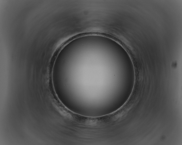 X0000093451364200710191054