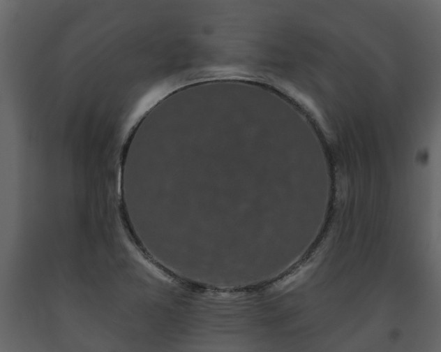 X0000093451365200710191054