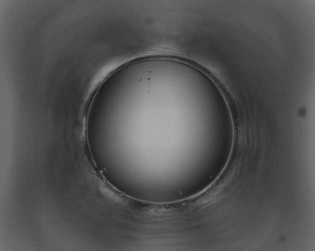 X0000093451366200710191054