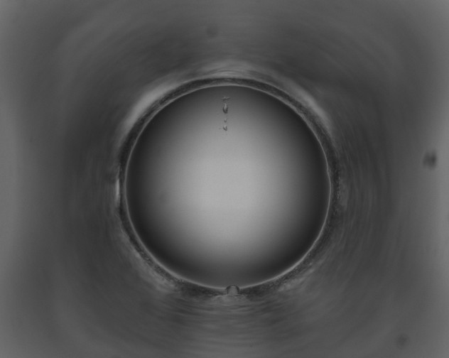 X0000093451368200710191054