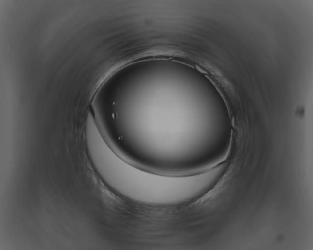 X0000093451369200710191054