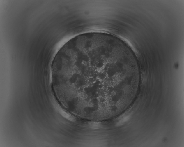 X0000093451371200710191054