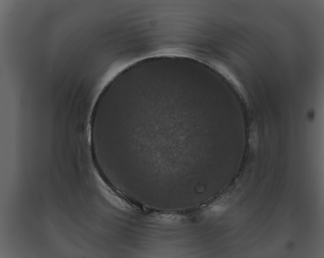 X0000093451372200710191054