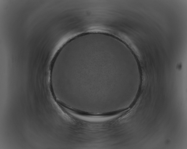 X0000093451376200710191054