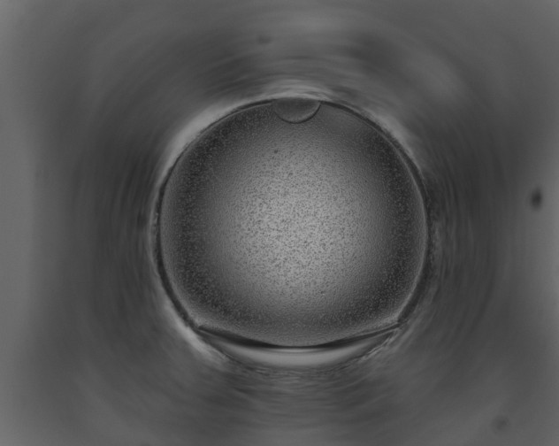 X0000093451379200710191054