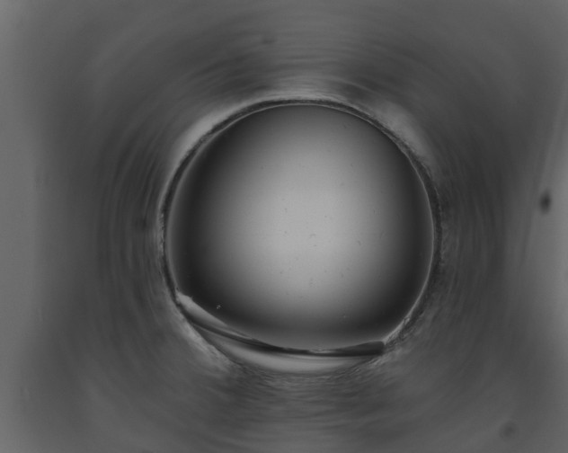 X0000093451380200710191054