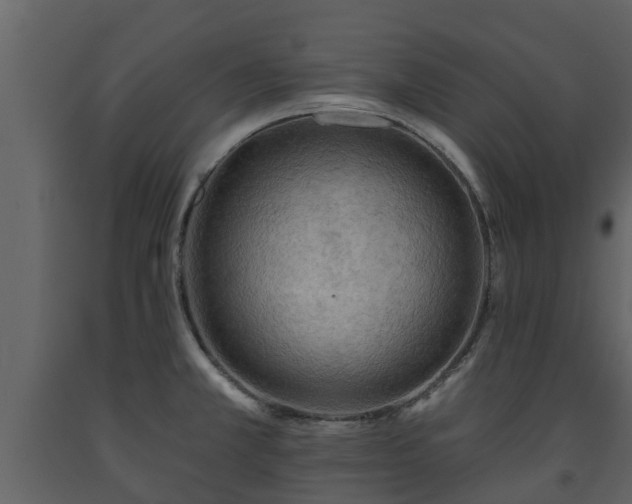 X0000093451381200710191054