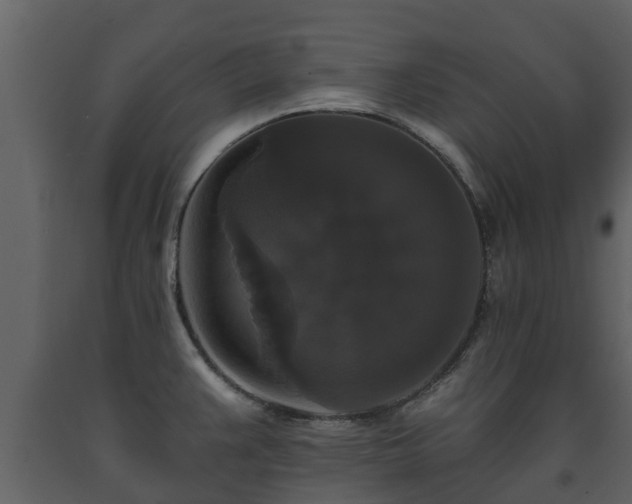 X0000093451383200710191054