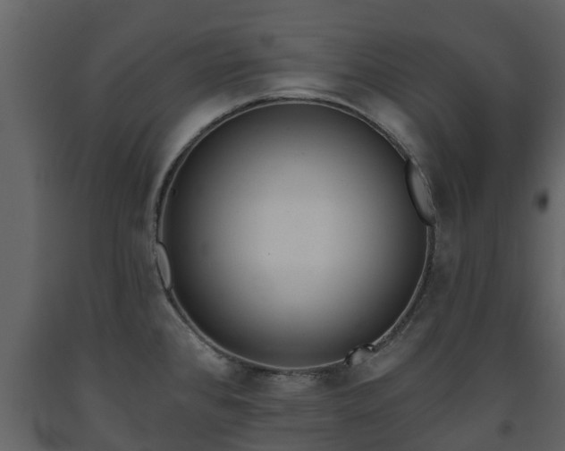 X0000093451384200710191054