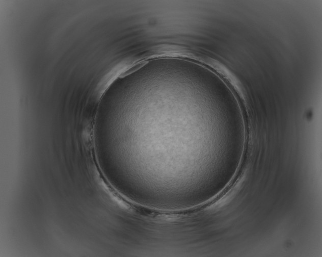 X0000093451385200710191054