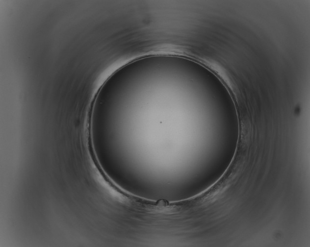 X0000093451387200710191053