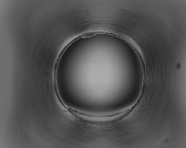 X0000093451388200710191053