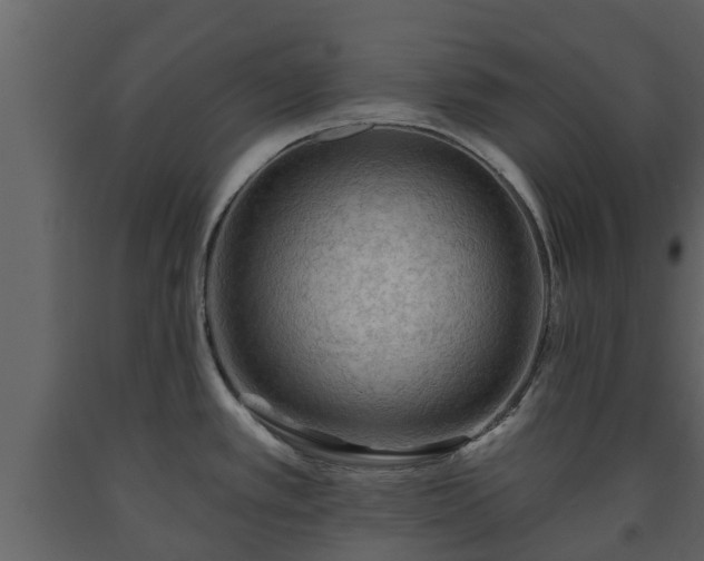 X0000093451389200710191053