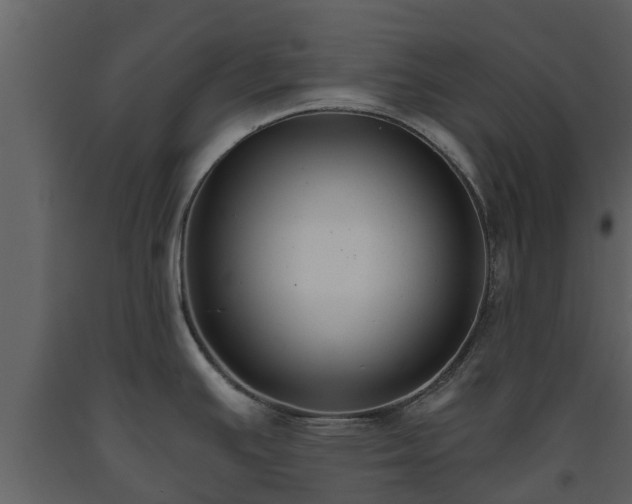 X0000093451391200710191053