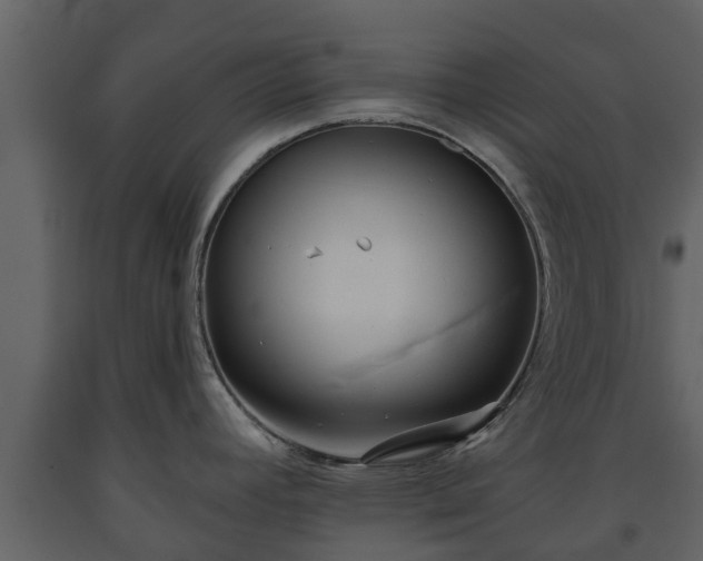 X0000093451392200710191053