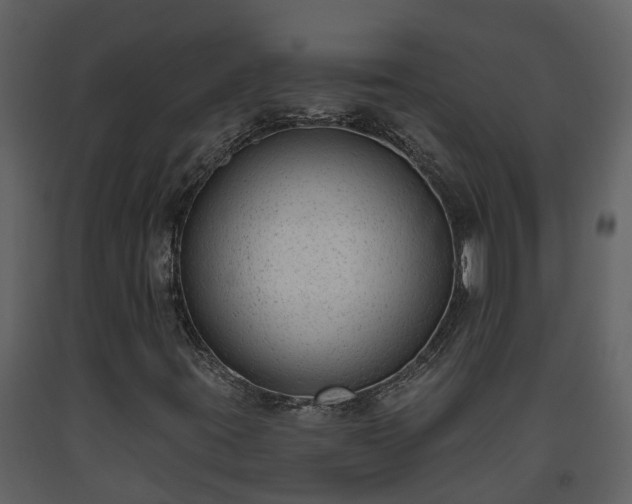 X0000093451395200710191053