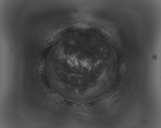 X0000093451397200710191053