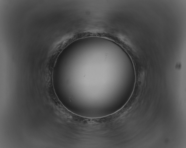 X0000093451398200710191053