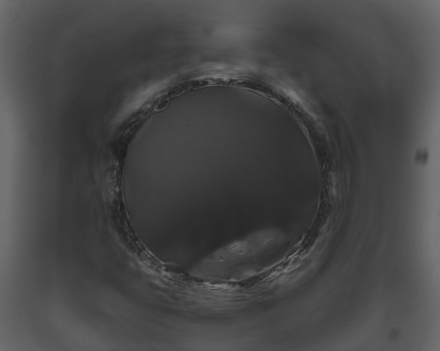 X0000093451399200710191053