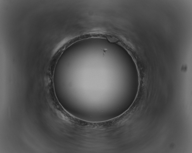 X0000093451400200710191053