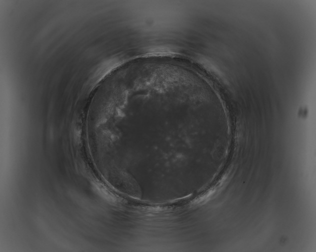 X0000093451401200710191053